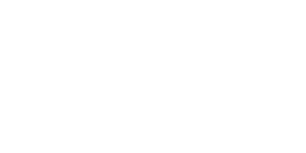 rocketman-logo-white